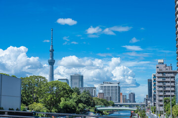 Obraz premium 青空と白い雲の中にそびえ立つ東京スカイツリーと、緑に囲まれた都心の公園からの眺望