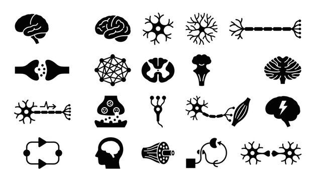 neuroscience brain structures and neuronal function icon set vector  .