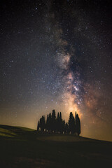 Obraz premium Milkyway over a cluster of cypress trees in the valley of Val d'Orcia on a September night sky