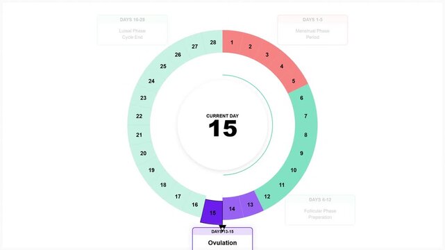Menstrual cycle calendar diagram showing ovulation phase and fertile window for health monitoring and period tracking concept