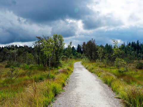 The southern shore of Kirchsee is accessible on foot from Kloster Reutberg Monastery via a path bordered by idyllic peat bog landscapes, rich in flora and fauna.