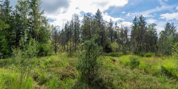 Traversing the picturesque natural reserve of Ellbach and the Kirchseemoor in the region of T&ouml;lz around the lake of Kirchsee near Tegernsee in the Bavarian Alps

