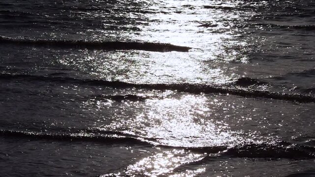 夕方の光を受けて輝く海辺の水面