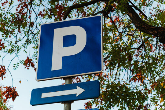 Blue parking sign with directional arrow stands beneath autumn trees. Urban transport scene for navigation, mobility, parking services and city infrastructure.