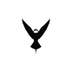 Fototapeta premium Black bird silhouette flying directly toward the viewer with wings fully spread, isolated on white background, dramatic wildlife symbol representing freedom, flight, nature and strength