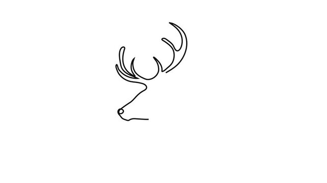 Continuous one line drawing of deer head with antlers, minimalist stag profile for wildlife logo, hunting symbol or nature banner