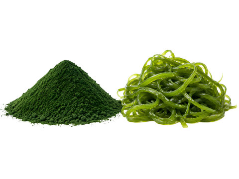 Green spirulina powder and fresh seaweed, organic superfood algae, healthy kelp salad isolated on Transparent Background