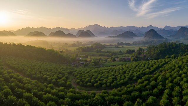 A panoramic view of the picturesque landscape in Ha Tien-Vietnam, expansive cooperative orchards surrounded by ecological buffer zones where traditional farming knowledge is preserved through communit