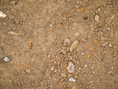Macro texture of dry dirt ground with small stones, clods of earth and pebbles, top view abstract background.