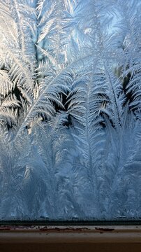Frozen ice crystal patterns on a window pane with a weathered sill, featuring a cold wintry texture for seasonal campaigns and backgrounds