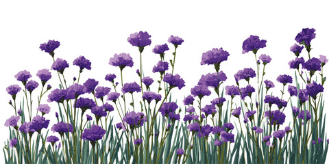 Naklejka premium Beautiful cascading purple wisteria flowers hanging from a branch with green leaves on white background