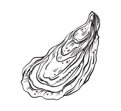 Black and white oyster shell vector illustration. Minimalist seafood icon isolated on white background.	