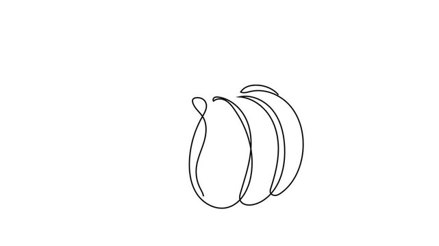  Continuous one line drawing of pumpkin, minimalist vegetable outline for Halloween, Thanksgiving harvest, and autumn season design
