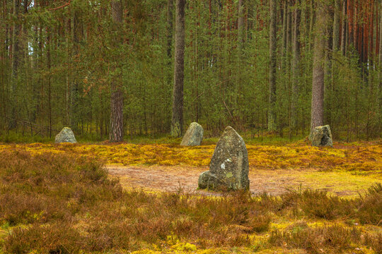 Ancient standing stones in a forest clearing, Odry, Kashubia, Poland