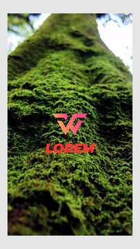 Fast Stomp Intro Logo Reveal Vertical - Dynamic Stomp Intro 