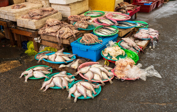 View of fresh fish and seafood displayed in colorful plastic baskets at a local market in Busan, Busan, South Korea.