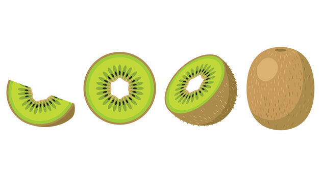 Fresh kiwi fruit set vector illustration with whole half round slice and cut piece isolated on white background
