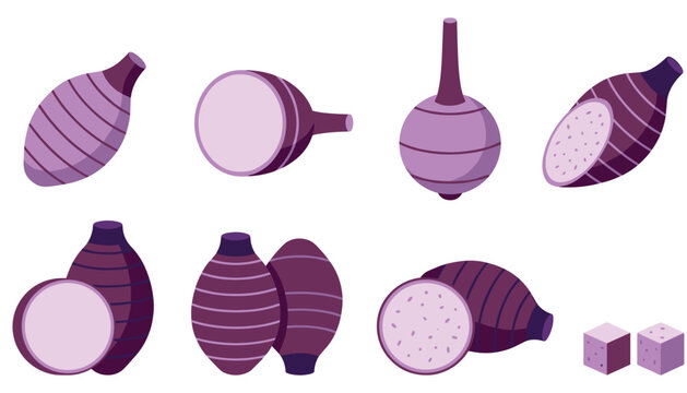 Vector purple taro root icon set featuring whole tubers cut halves slices and cubes on white background