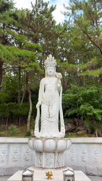 View of a white stone Bodhisattva statue standing on a lotus pedestal, surrounded by lush pine trees and a carved stone wall at Jangsan Mountain, Busan, South Korea.