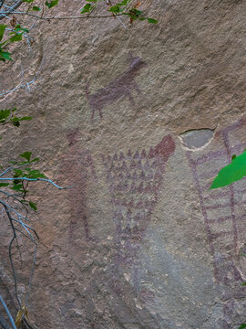 View of ancient petroglyphs featuring human figures and geometric designs carved into a textured sandstone rock face near the Yampa River in Moffat County, Colorado, United States.