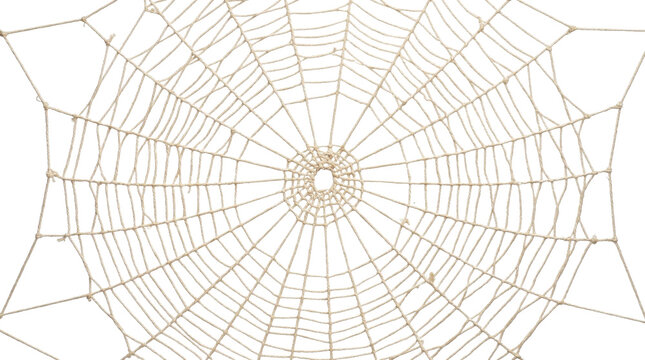 Intricate handmade cotton spiderweb decoration isolated on a clean white background for design