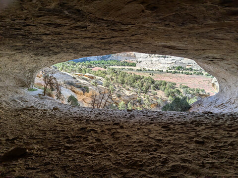 View of the Yampa River valley from inside a natural sandstone cave, featuring rugged rock formations, sparse vegetation, and a clear desert landscape in Moffat County, Colorado, United States.