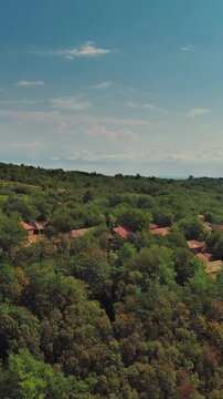 Aerial view of old rustic vintage houses with wine cellars in Rogljevacke pivnice in Negotin region of Serbia. Vertical video 4k