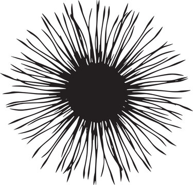 Abstract sunburst or starburst shape with textured radiating lines sunburst starburst abstract radiating background isolated illustration explosion