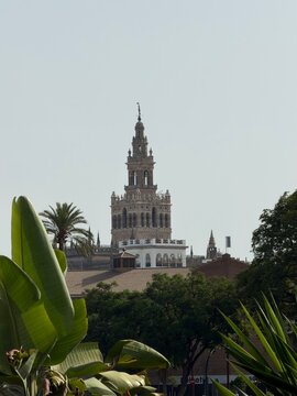 Seville Cathedral and Historic Cityscape from Guadalquivir