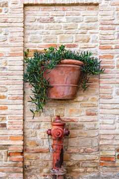 Terracotta Planter and Fire Hydrant on a Weathered Brick Wall