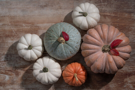 Various pumpkins are photographed from above. The pumpkins are resting on a rustic wooden board.