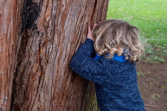 Un enfant jouant &agrave; cache-cache en train de compter contre un arbre 
