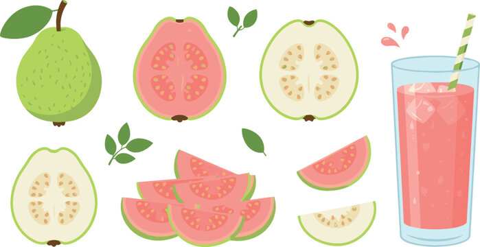 Fresh guava vector set featuring whole green fruit, pink and white halves with seeds, piled fruit slices, leaves, and a tall glass of juice isolated on white