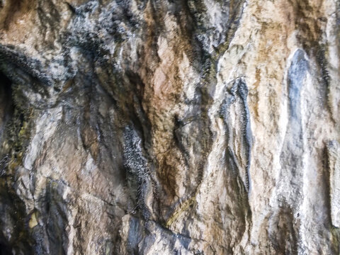 Rugged natural rock surface displaying complex geological textures with intricate shades of gray brown and white mineral deposits captured in a close up vertical macro photograph.