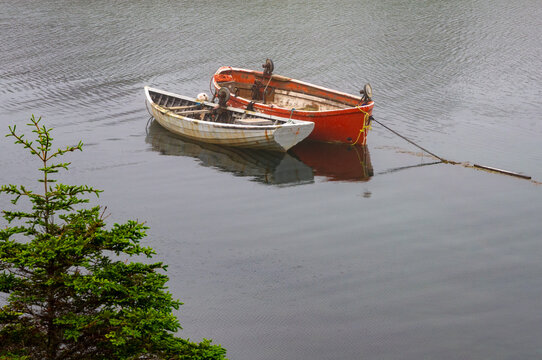 Two weathered wooden fishing boats float on calm gray water beside an evergreen tree in Peggy&rsquo;s Cove, NS.