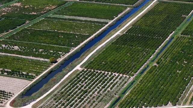Aerial view of mandarin plantations and irrigation canals in the Neretva valley, Croatia
