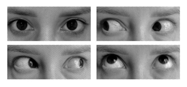 Vintage halftone eyes looking in different directions for vision concept and dada collage on a transparent background