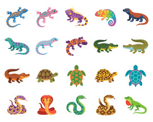 Obraz premium Reptiles. reptiles breathe air using lungs and are usually found in warm environments, although some can live in cooler regions.