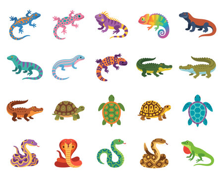 Reptiles. reptiles breathe air using lungs and are usually found in warm environments, although some can live in cooler regions.