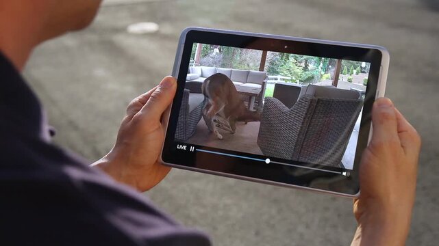 Man uses a tablet to watch live home security camera footage of a deer resting on his backyard patio, illustrating smart home wildlife monitoring. 15414