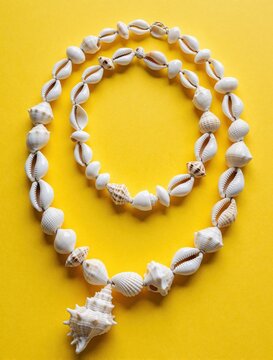 Handmade shell necklace arranged on bright yellow background. Features various shells like cowries and conches. Beach jewelry for summer vacation, resort wear, or nautical decor theme.