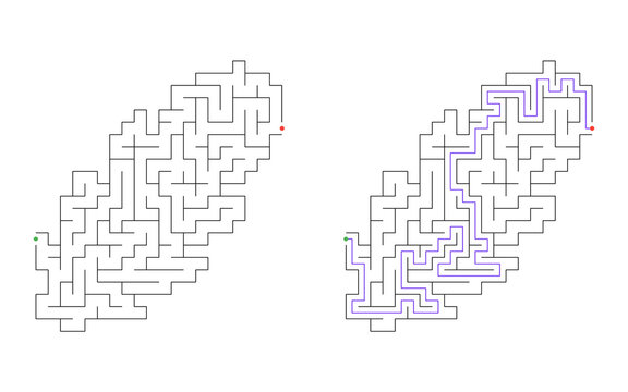 Feather shaped labyrinth puzzle with purple solved route from green entrance to red exit, simple black outline on white background