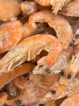 Frozen shrimps ready for culinary delights and ocean-inspired recipes