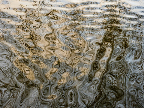 Abstract landscape in a lake
