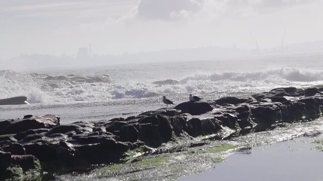 Chile landscape coast beach sea nature