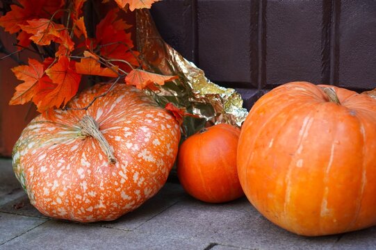 Ripe orange pumpkins with red maple leaves decorating house entrance for autumn harvest festival and Halloween. Seasonal front door decor concept. Fall home decoration with natural elements.