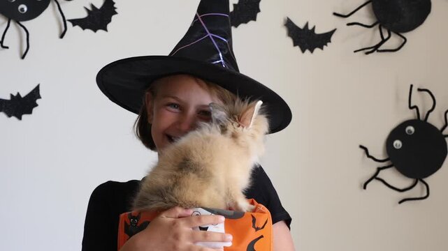 Video portrait happy excited face girl child in black witch hat holding orange candy bucket rabbit against a wall decorated background with bats, celebrating Halloween with playful costume. spooky han
