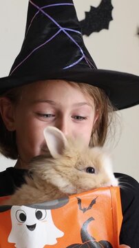 Video vertical portrait happy excited face girl child in black witch hat holding orange candy bucket rabbit against a wall decorated background with bats, celebrating Halloween Pet shop advertising