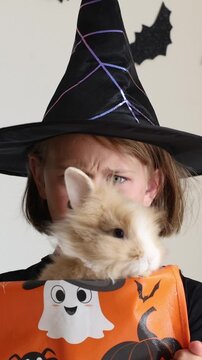 Video vertical portrait happy excited face girl child in black witch hat holding orange candy bucket rabbit against a wall decorated background with bats, celebrating Halloween Pet shop advertising
