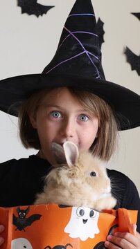 Video vertical portrait happy excited face girl child in black witch hat holding orange candy bucket rabbit against a wall decorated background with bats, celebrating Halloween Pet shop advertising